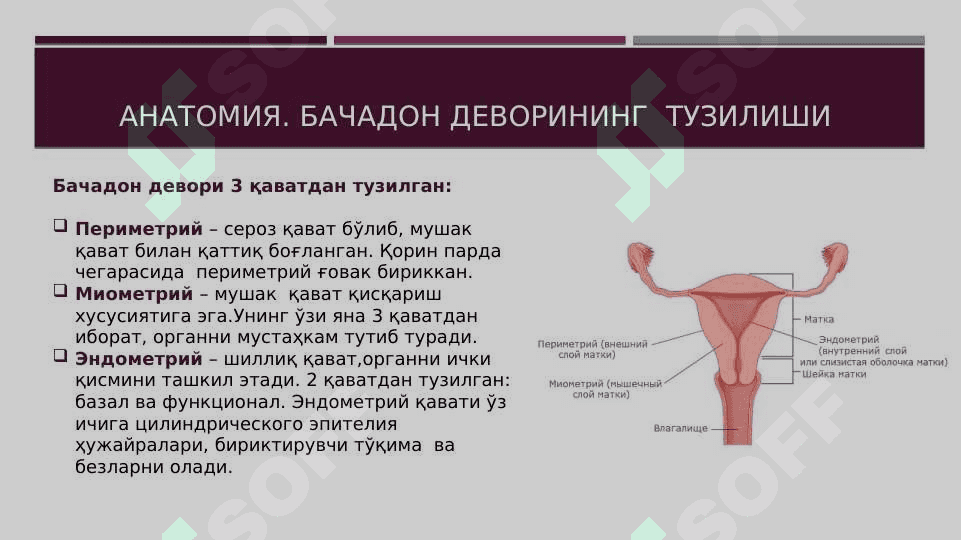 Akusherlik qon ketishlarida yangicha yondashuv . 8
