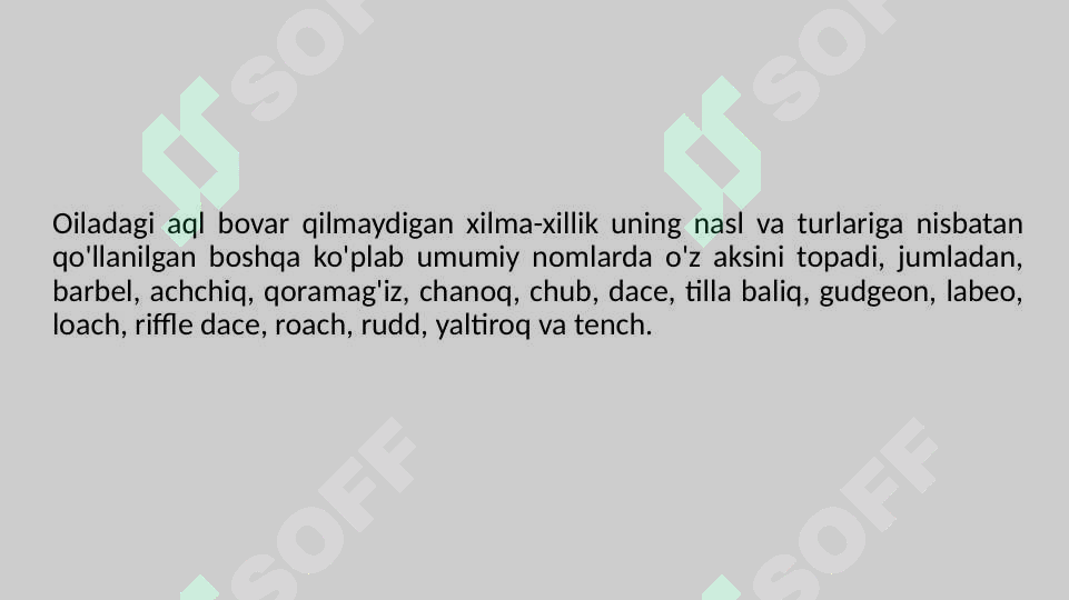 Preview 5