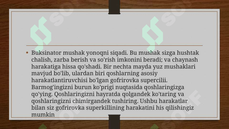 Preview 5