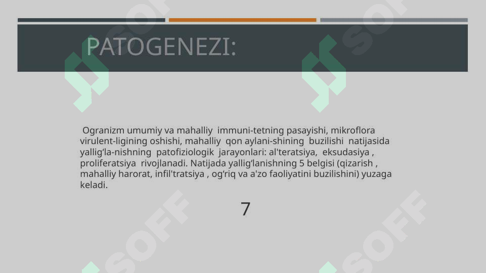 Preview 7