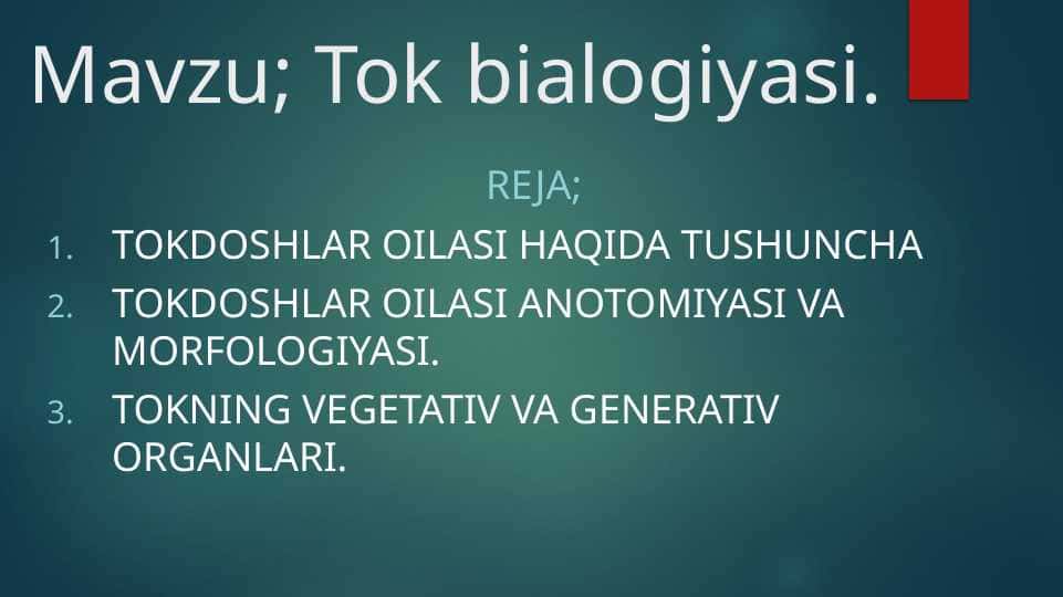 Tok bialogiyasi.