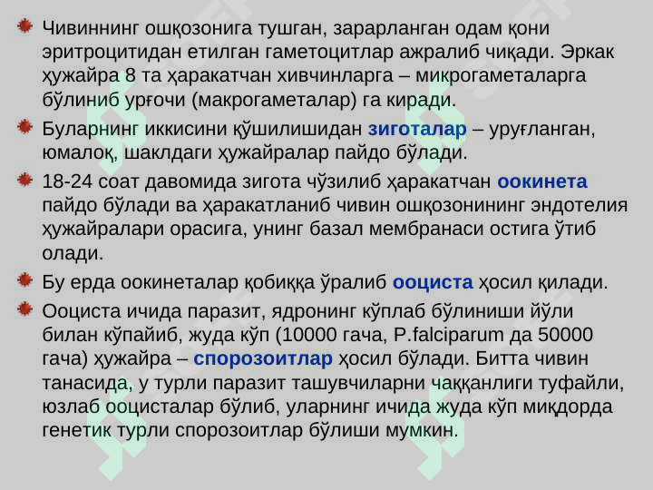 Preview 8