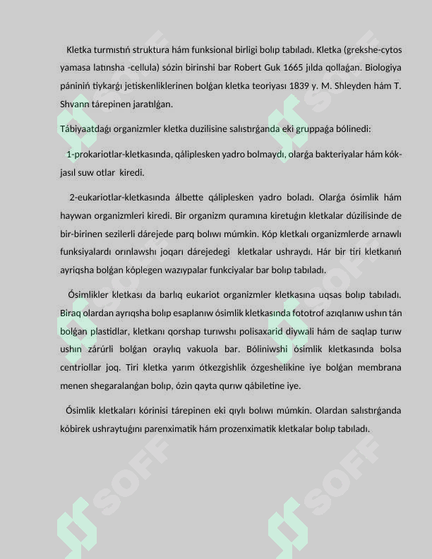 Preview 5
