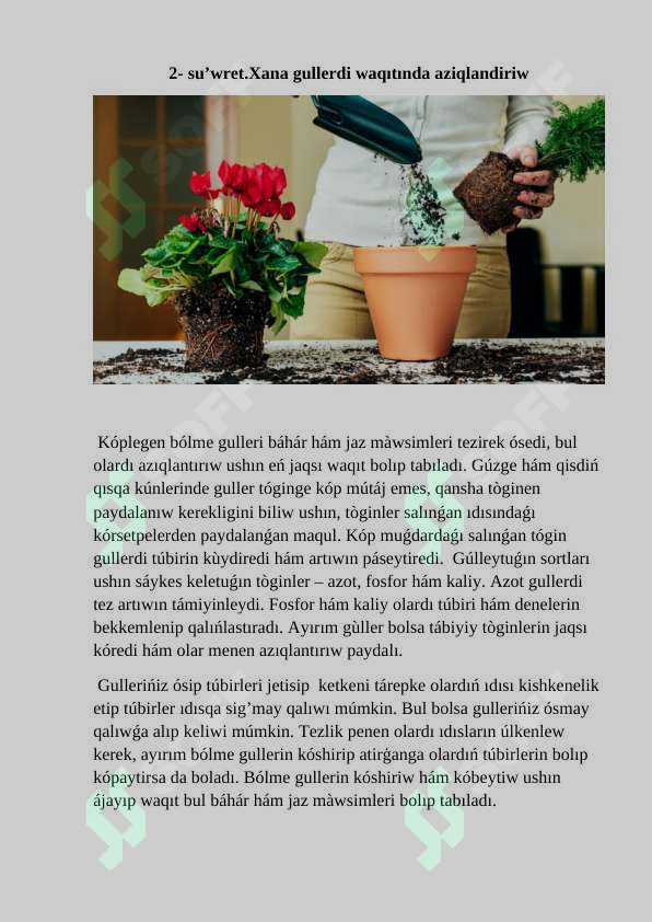 Preview 7