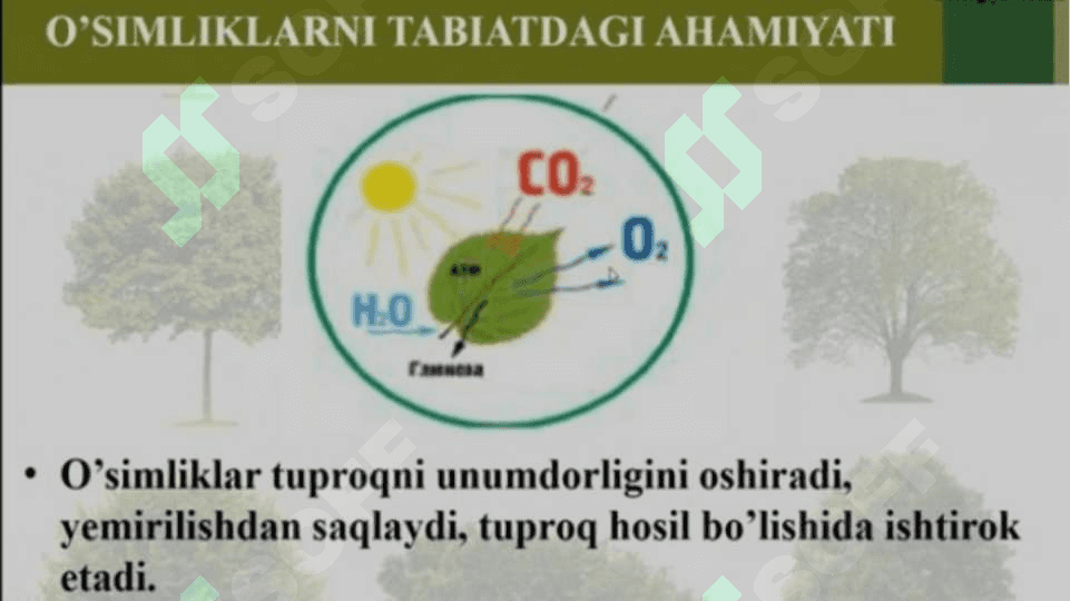 BIOLOGIYA FANI TARMOQLARI 7