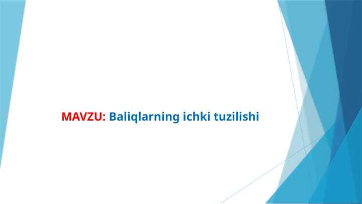 Baliqlarning ichki tuzilishi
