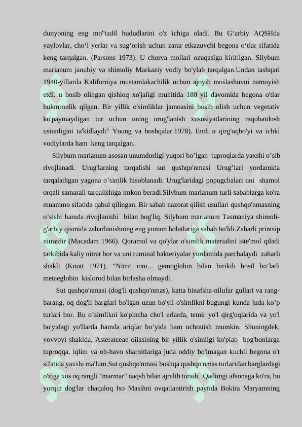 Preview 7