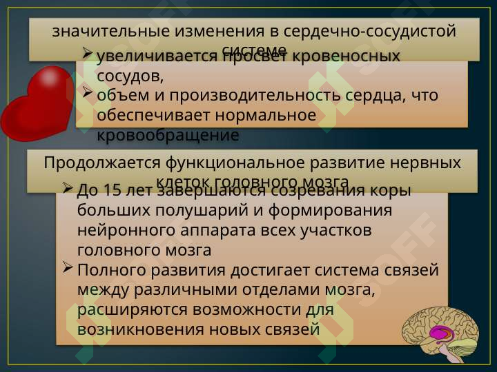 Preview 5