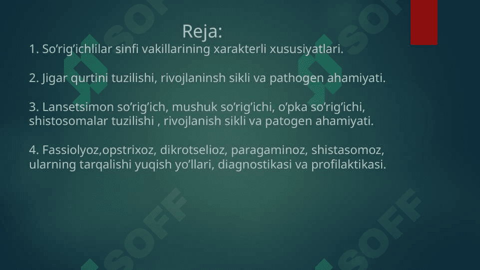 YASSI CHUVALCHANGLAR ODAM PARAZITLARI SO'RIG'ICHLILAR JIGAR QURTI MUSHUK  SO'RIG'ICHI LANSETSIMON SO'RIG'ICH 2