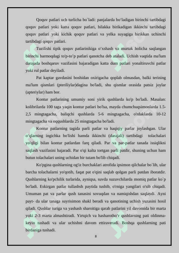 Preview 8