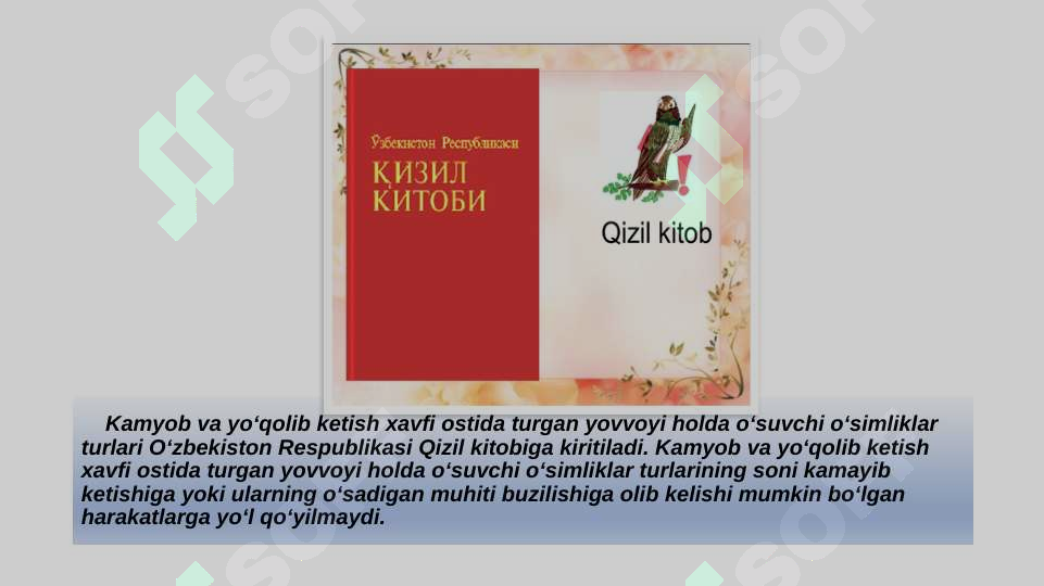 Preview 8