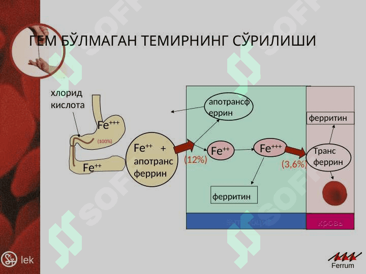 Темир нима учун инсонга керак ? 3