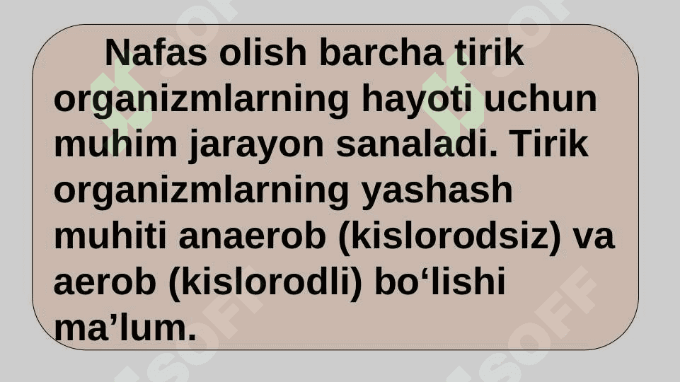 HAYVONLARNING NAFAS OLISH ORGANLARI EVOLUTSIYASI 2