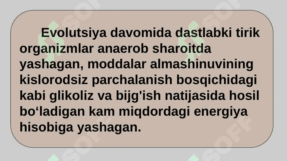 HAYVONLARNING NAFAS OLISH ORGANLARI EVOLUTSIYASI 3