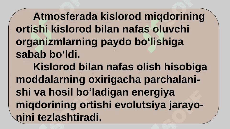 HAYVONLARNING NAFAS OLISH ORGANLARI EVOLUTSIYASI 4