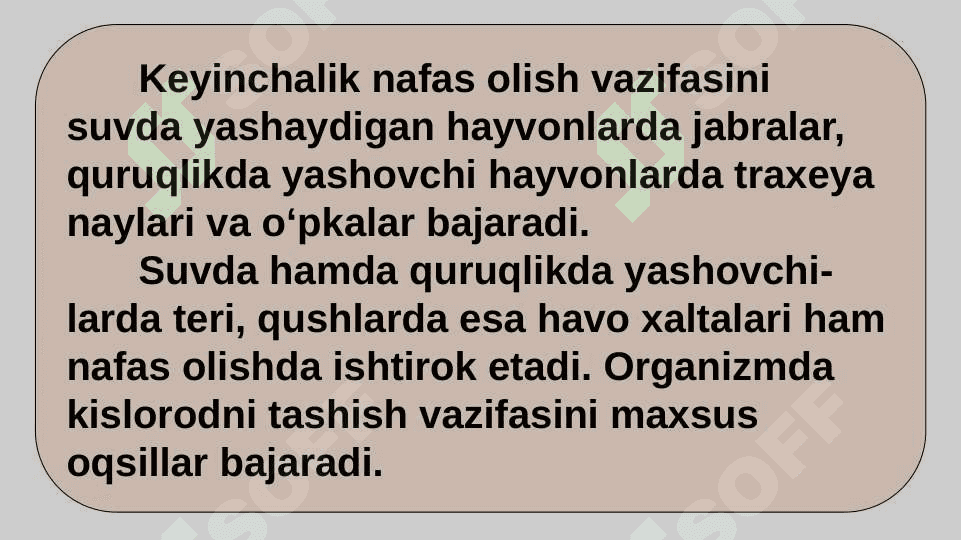 HAYVONLARNING NAFAS OLISH ORGANLARI EVOLUTSIYASI 6