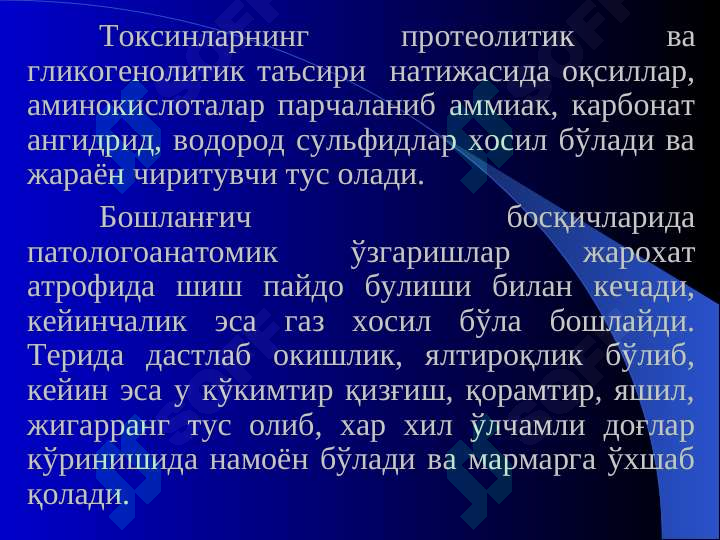 Preview 7