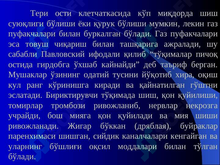 Preview 8