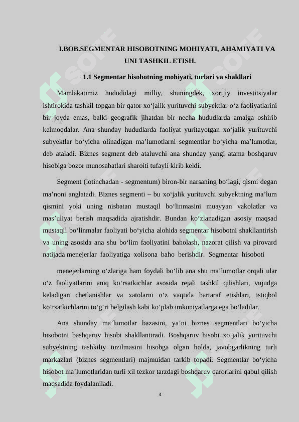 TASHQI FOYDALANUVCHILAR UCHUN SEGMENTLAR BO'YICHA HISOBOTNI TUZISH TARTIBLARI 4