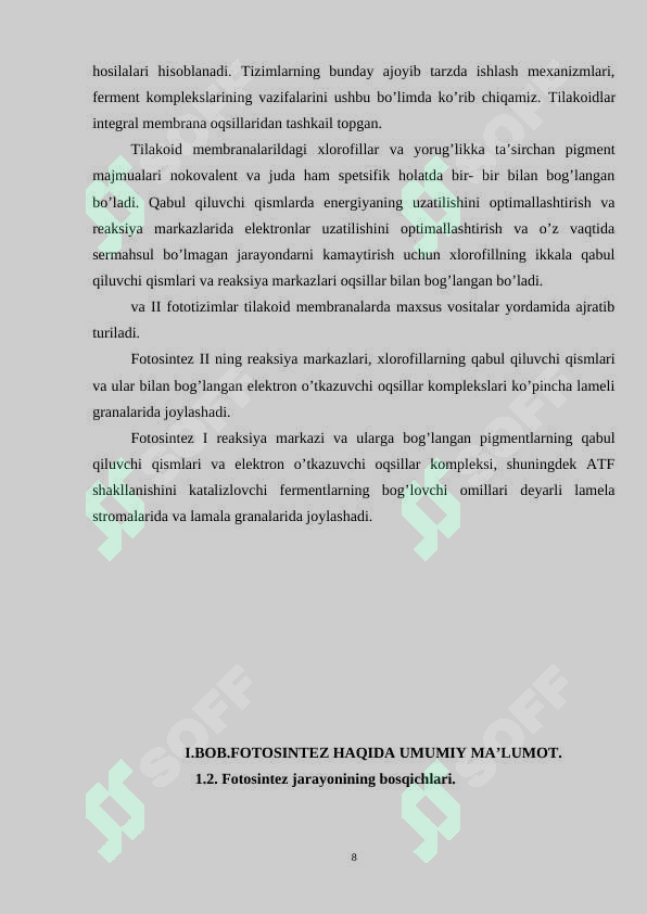 Preview 8
