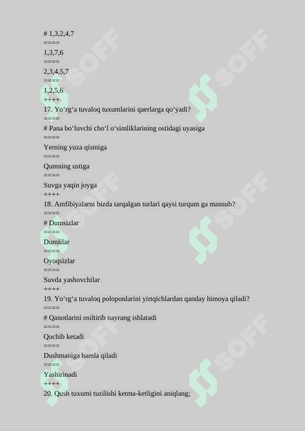 Preview 5