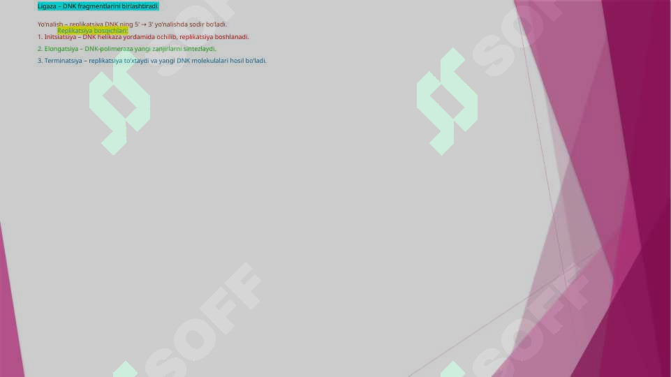 Preview 5