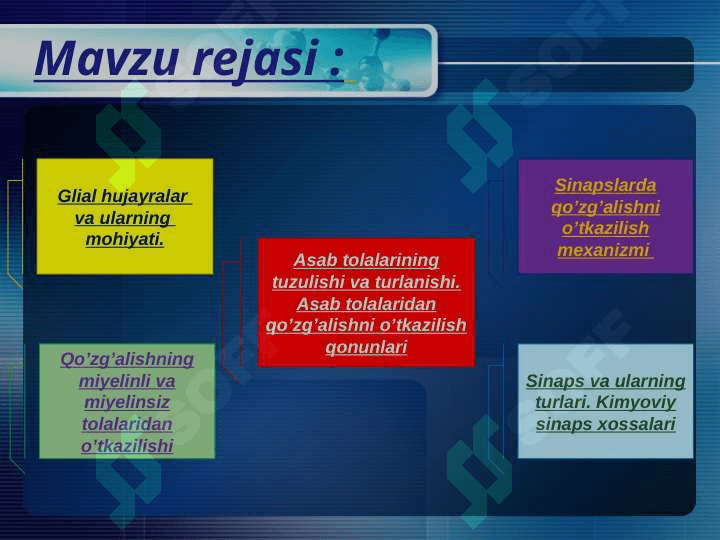 Asab tolalari va sinapslarning xossalarini o'rganish 2