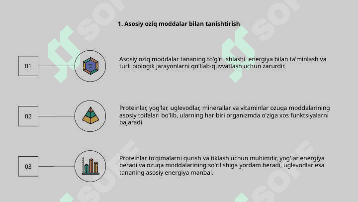 Asosiy oziqaviy moddalar – oqsillar, yog‘lar, karbonsuvlar, mineral moddalar va vitaminlarning biologik roli va asosiy manbalari 3