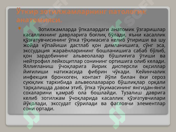 Preview 8