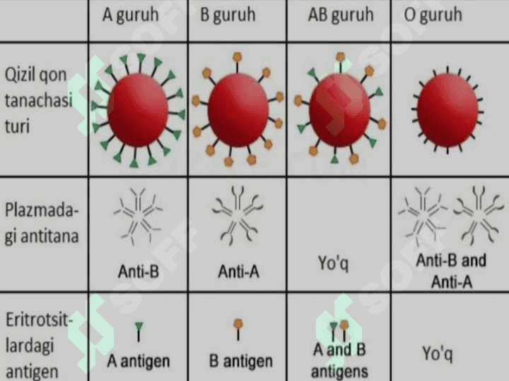 Qon guruh va rezus faktorni aniqlash 3