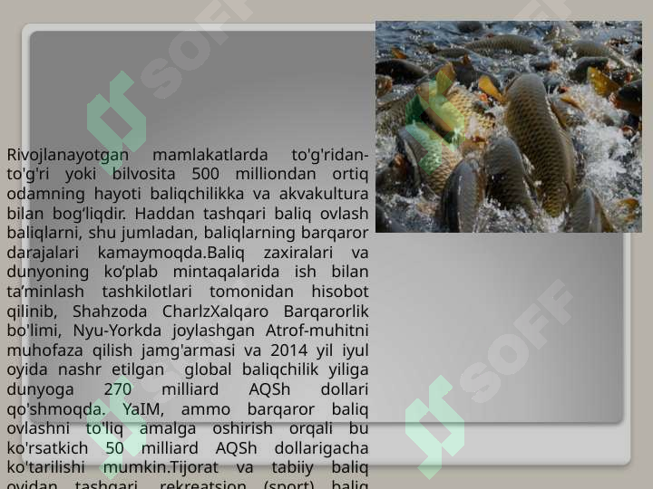 Preview 7