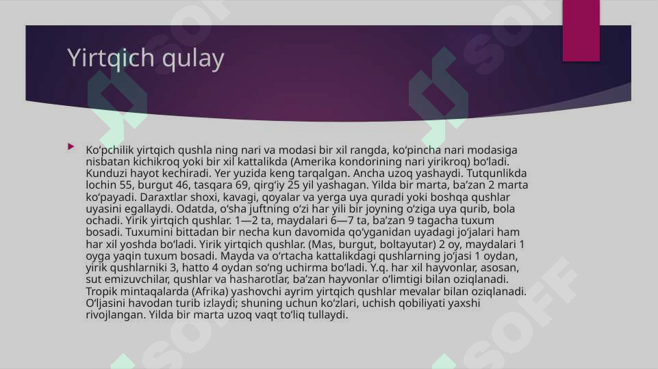YIRTQICH QUSHLAR 4