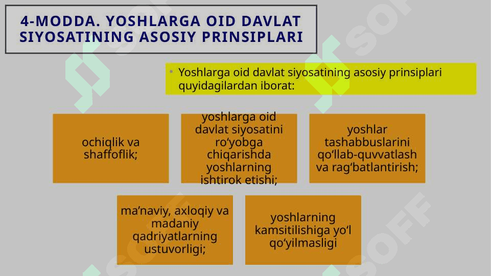 Davlat yoshlarining shaxsiy siyosiy,iqtisodiy,ijtimoiy- madaniy,ekologik huquqlarining himoyalanishi 6