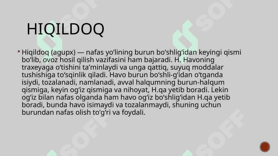Hiqildoq anatomiya va fiziologiya 2