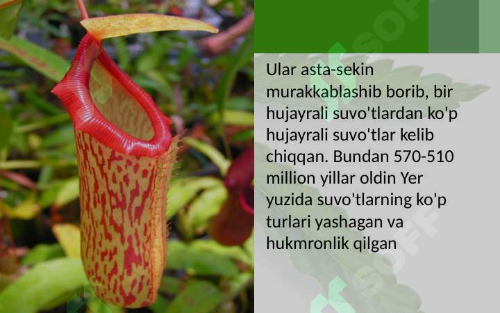 Preview 5