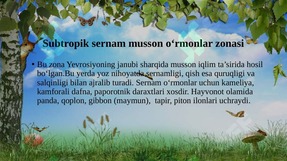 Preview 7