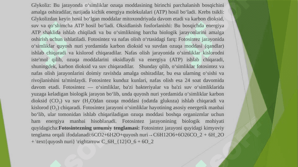 O`simliklarning nafas olishi 4