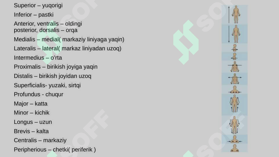 Preview 5