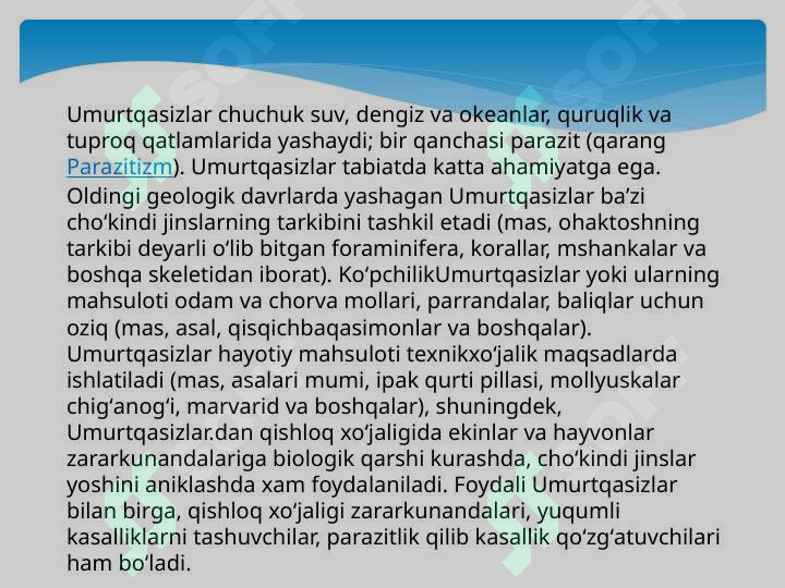 Preview 7