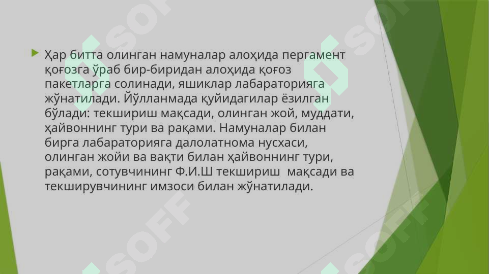 Preview 6