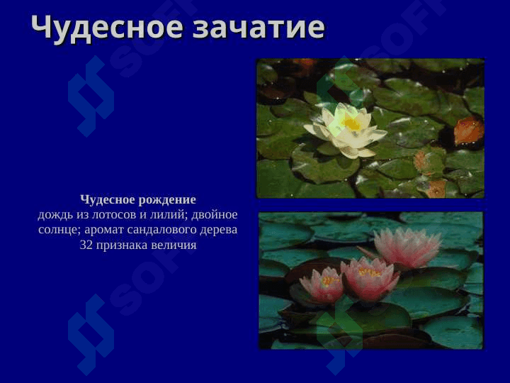 Мировая религия Буддизм 7