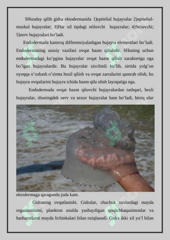 Bo’shliqichlilar tipi 6