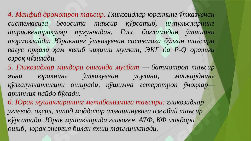 Preview 8