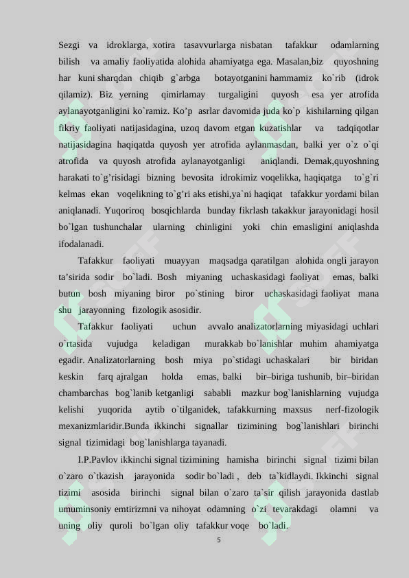 Preview 5