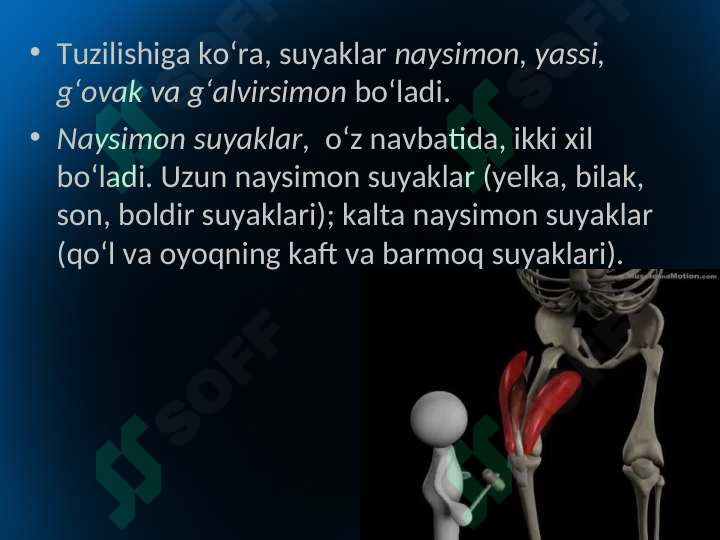 Preview 6
