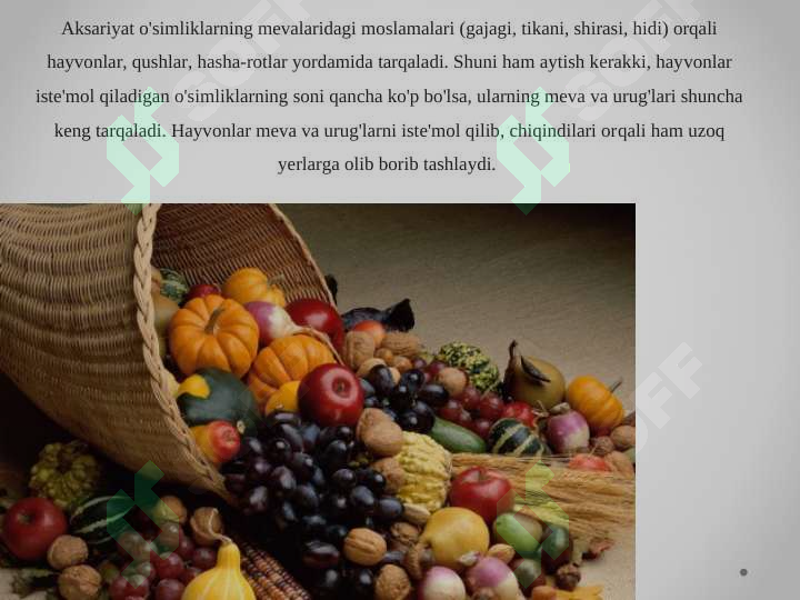 Preview 7
