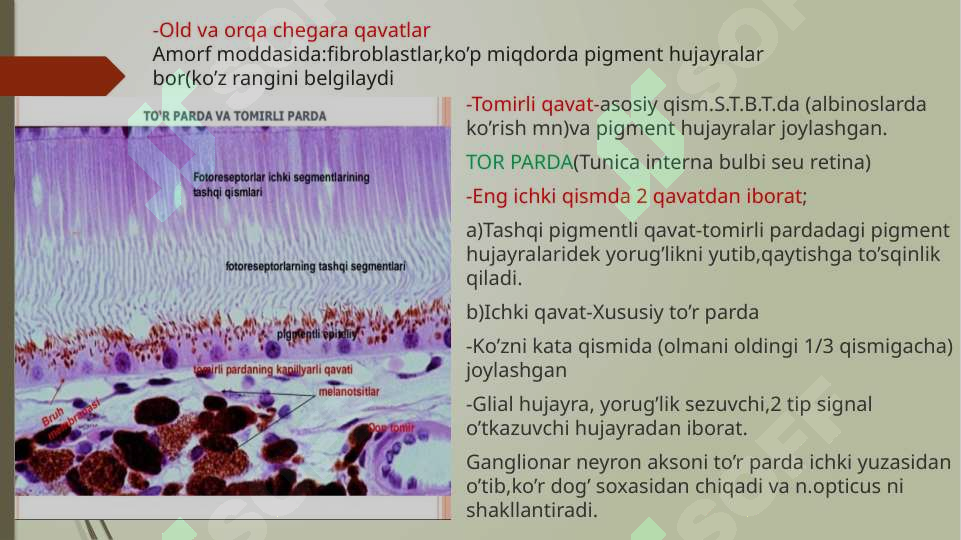 Preview 8