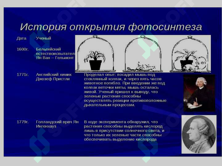 Preview 7