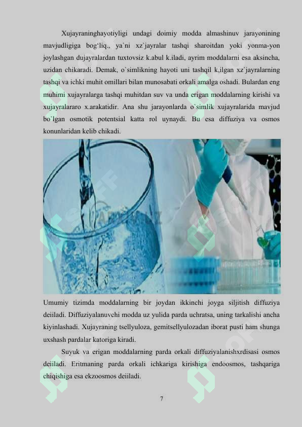 Preview 7