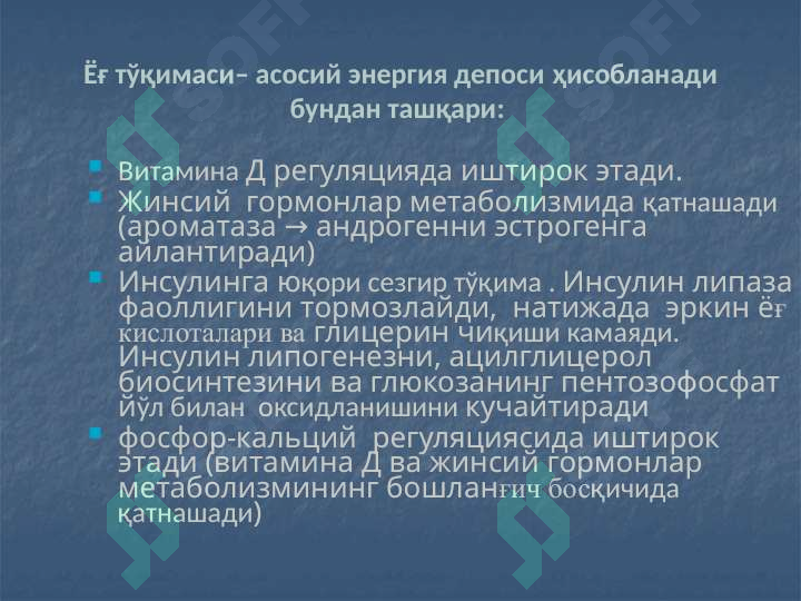 Preview 8